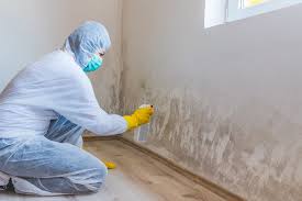 Forensic Mold Investigation in New Hope, PA